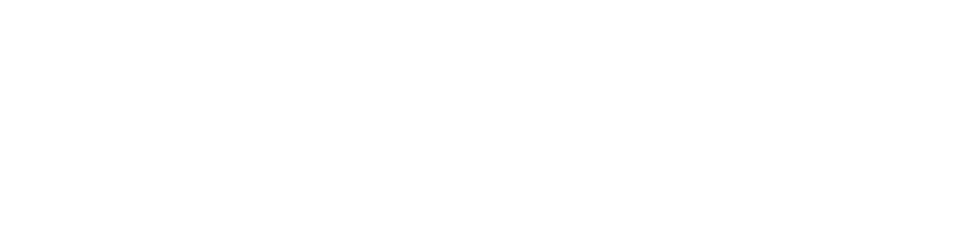 Praxis Engineering Logo